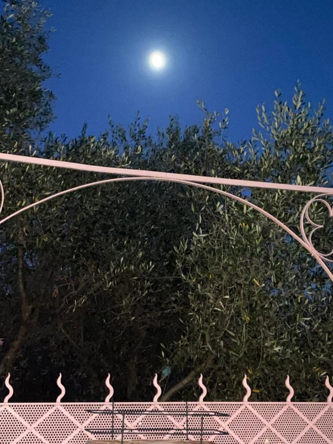 Villa Fieschi Cogorno 外观 照片