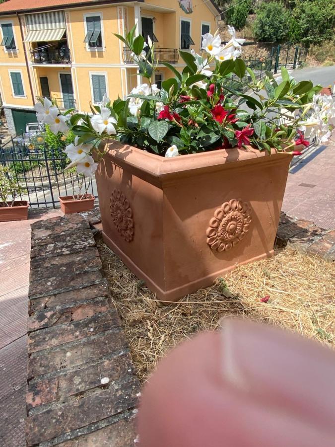 Villa Fieschi Cogorno 外观 照片